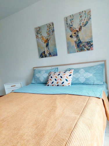 Standard Apartment