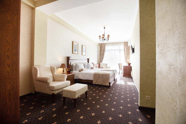 Superior Double room with balcony and with city view