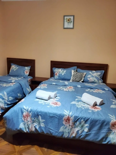 Economy Triple room with view