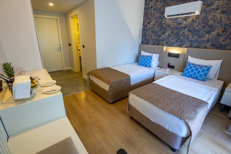 Standard Accessible Double room
