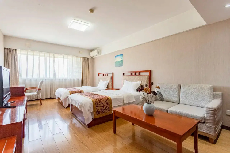 Standard Twin room with city view