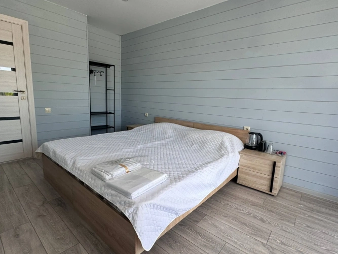 Standard Double room with balcony and with courtyard view