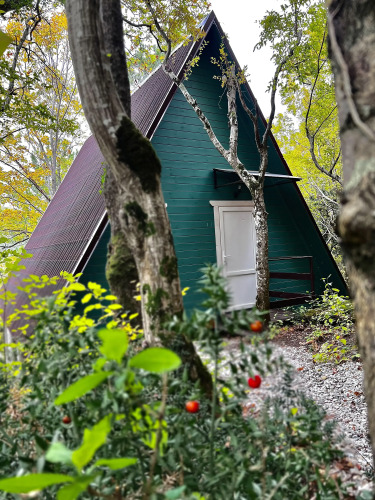  (двуспальная кровать) - изображение 1