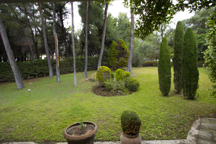 Araucaria Shared Pool Sani Villa