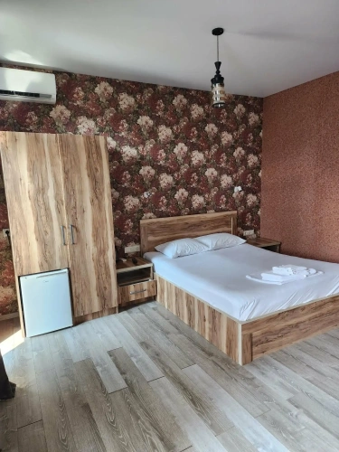 Standard Double room with balcony and with pool view