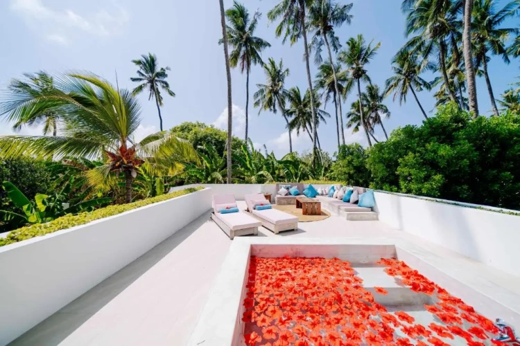Rooftop Splash Tub Jungle Double Villa
