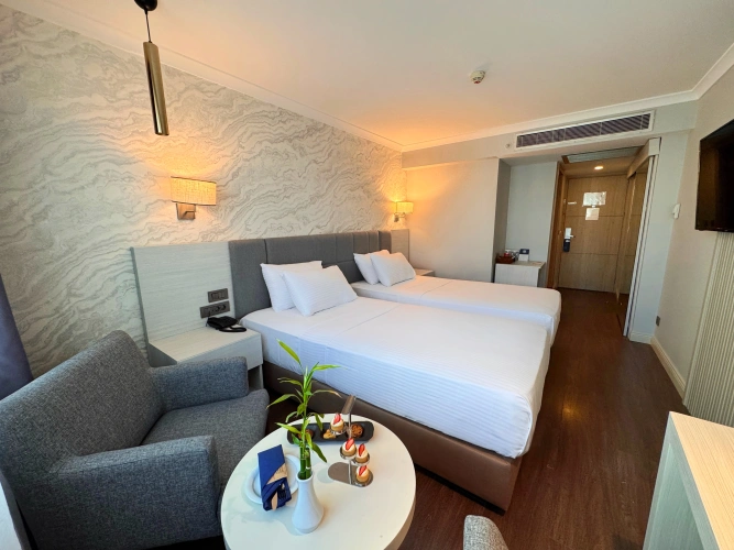 Deluxe Twin room