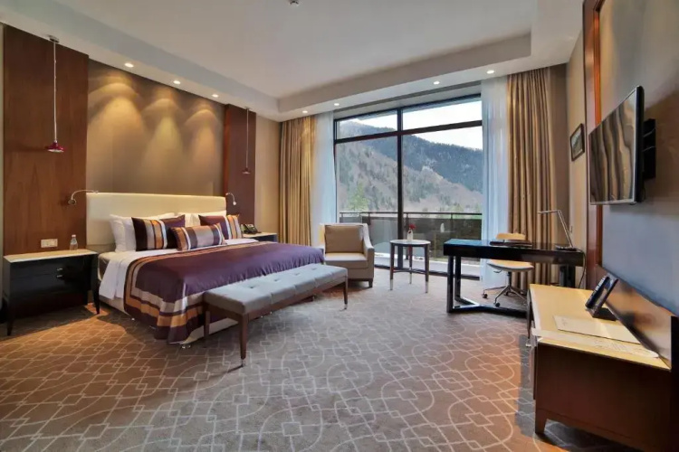 Borjomi Likani Hotel