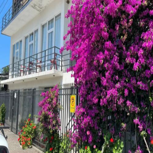 Hotel Kozata