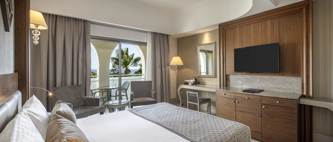 Standard Double room with balcony and with land view
