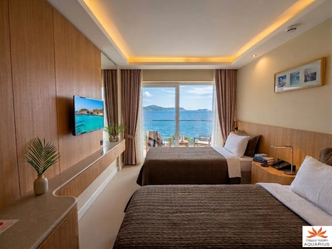 Standard Twin room with balcony and with sea view