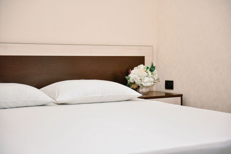 Фотография номера гостиницы Индиго