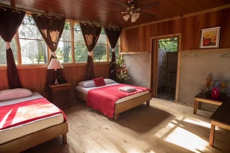 Deluxe Bungalow