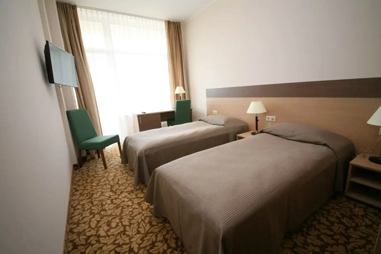 Standard Double room with balcony and with view