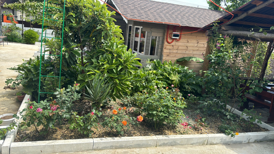 Avokado Guest House