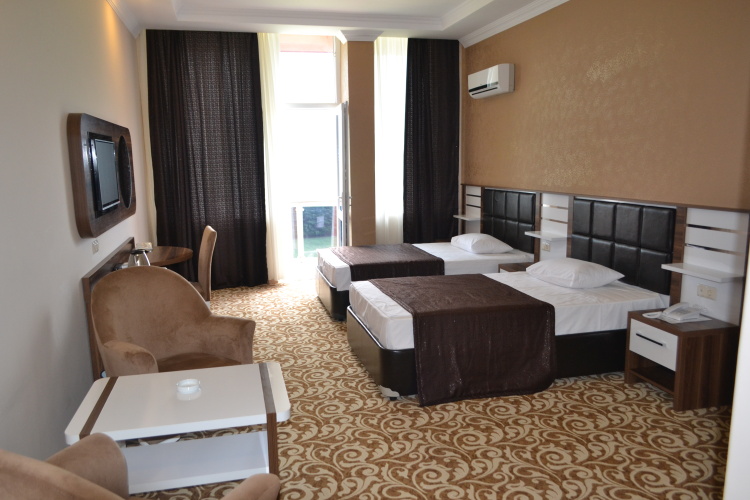 Standard Double room with balcony and with view