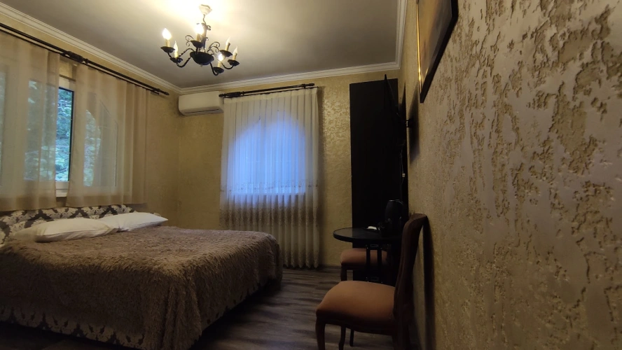 Standard Double room with mountain view