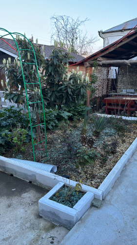 Avokado Guest House