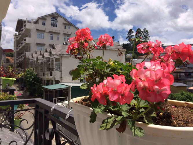Standard Quadruple room with balcony and with view