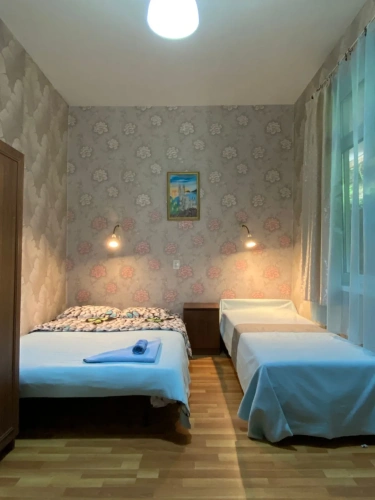 Standard Double room with balcony and with view