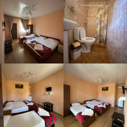 Standard room with balcony and with garden view