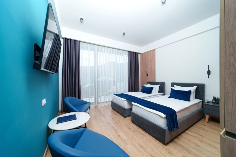 Standard Twin room with balcony and with mountain view