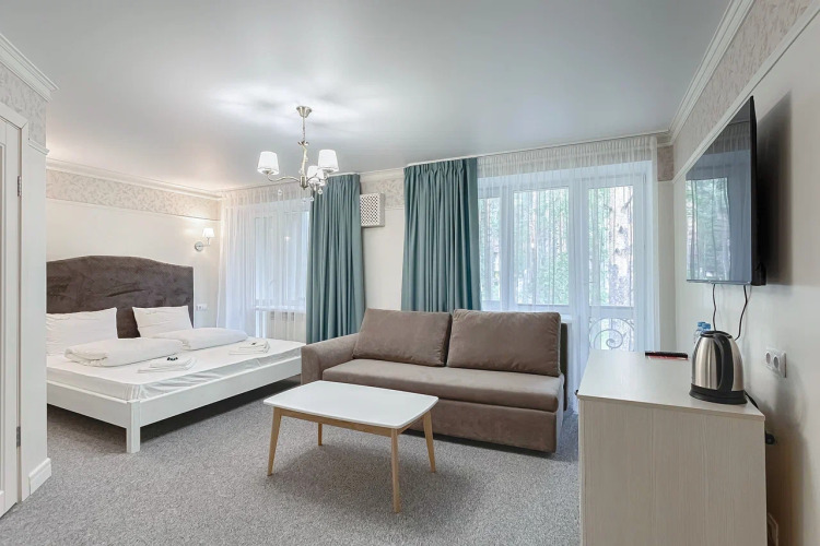 Фотография номера гостиницы Парк-отель Хвоя