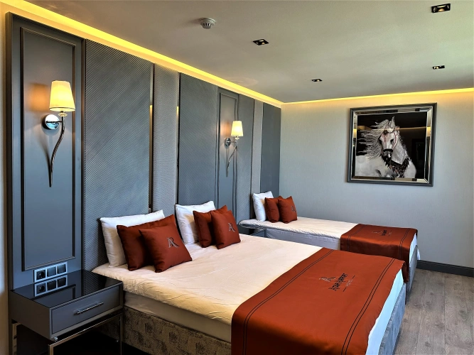 Deluxe Triple room