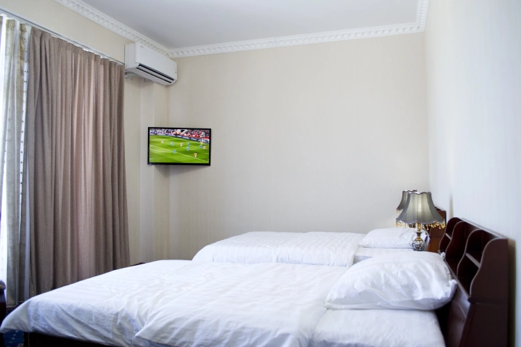 Standard Double room with balcony and with view