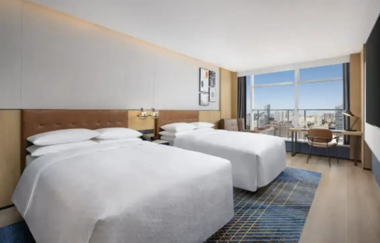 Premium Twin room with city view