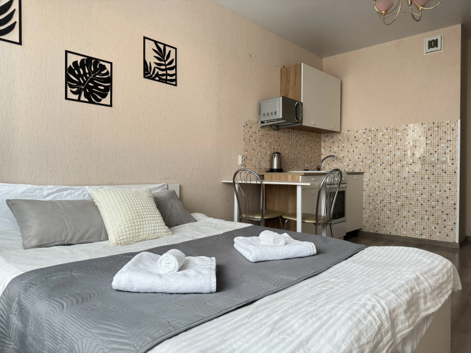 Фотография номера квартиры Апартаменты Batasheva Apart