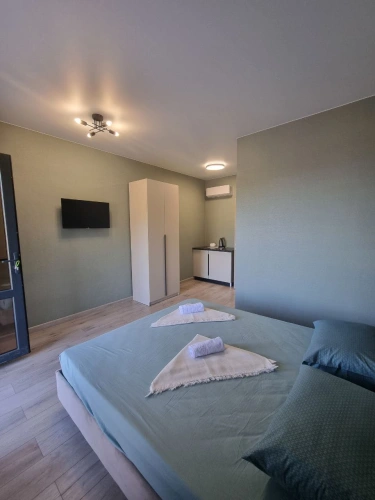 Standard Double room with balcony and with panoramic view