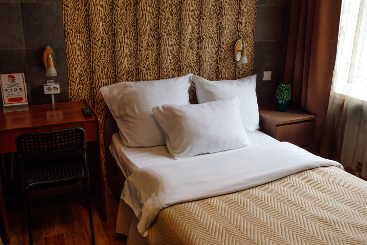 Фотография номера гостиницы Африка