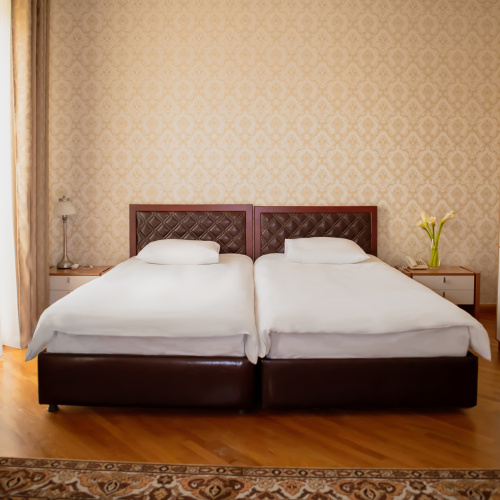 Standard Twin room with view