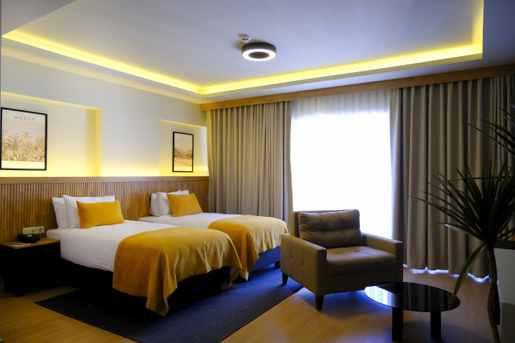 Deluxe Double room with city view