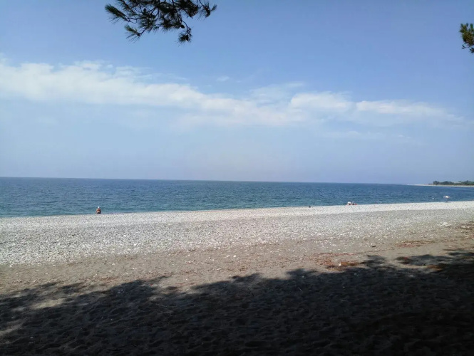 Pitsunda Guest House