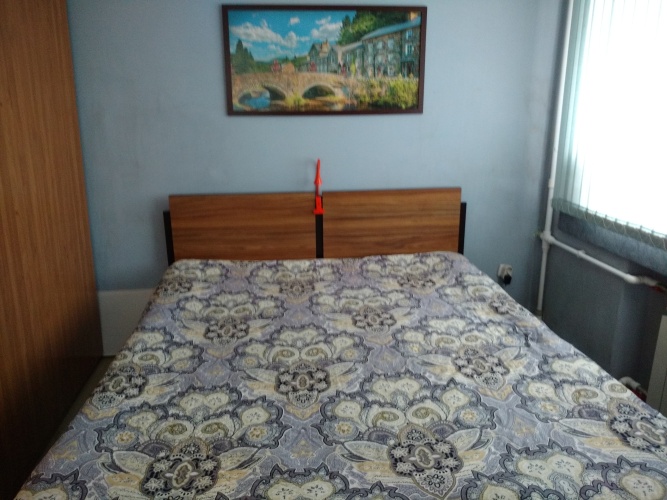 Фотография номера квартиры Апартаменты Pushkinskaya35