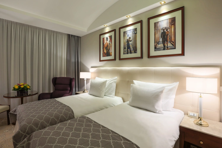 Deluxe Twin room