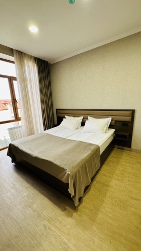 Deluxe Double Junior Suite with view
