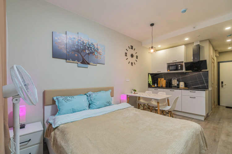 Фотография номера квартиры Апартаменты Классические SalutApart 99