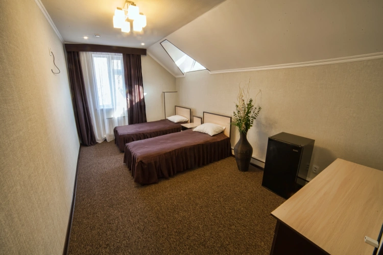 Standard Triple room with view