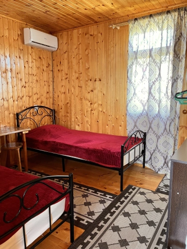 Standard Double room with balcony and with park view