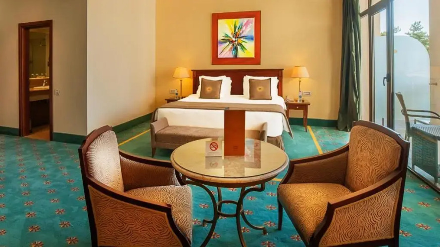 Фотография номера гостиницы Georgia Palace Hotel