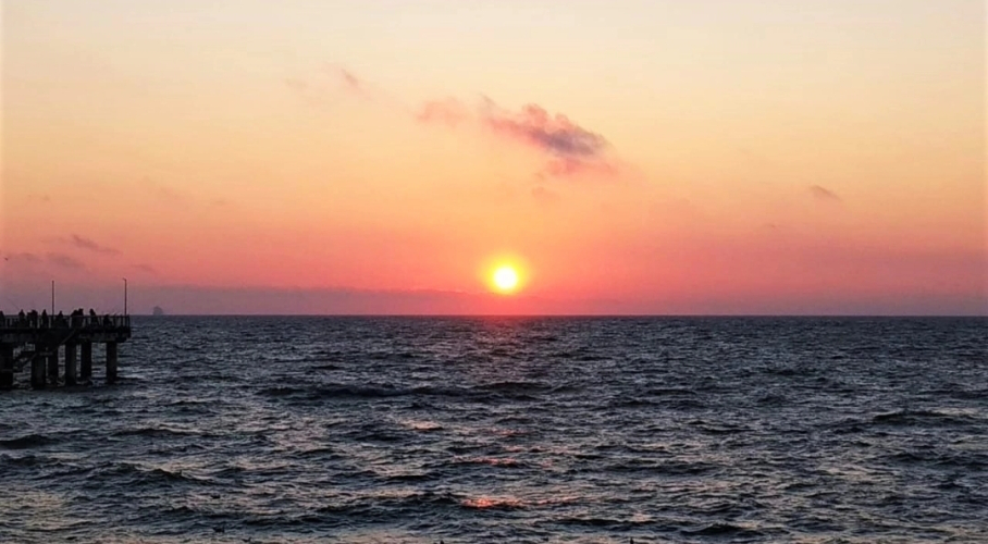 Фотография номера Коттеджа Частный дом Студия