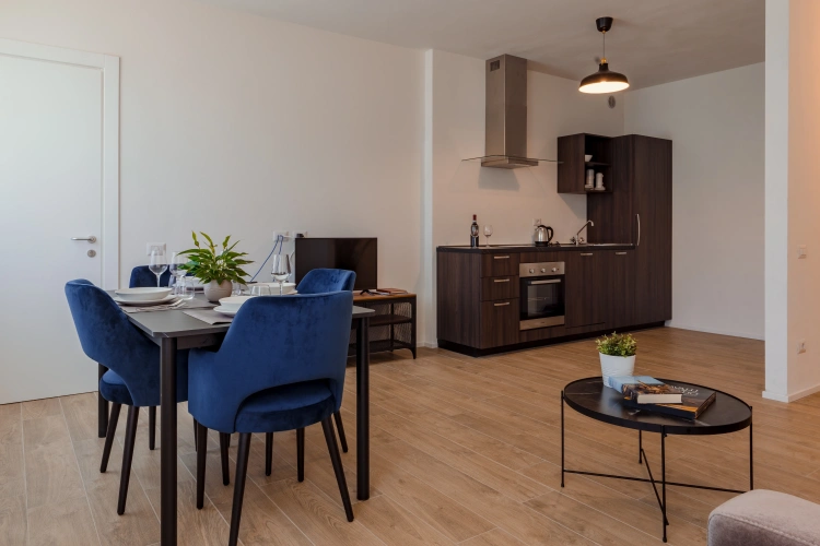 1 Bedroom Apartment