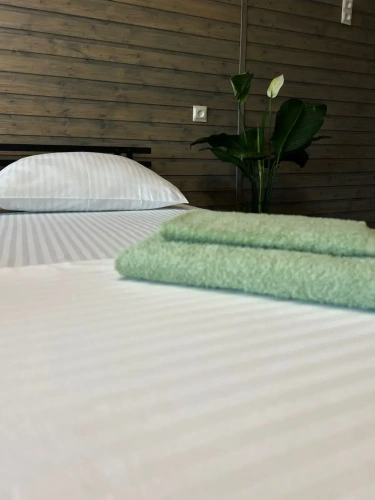 Standard Quadruple room beachfront