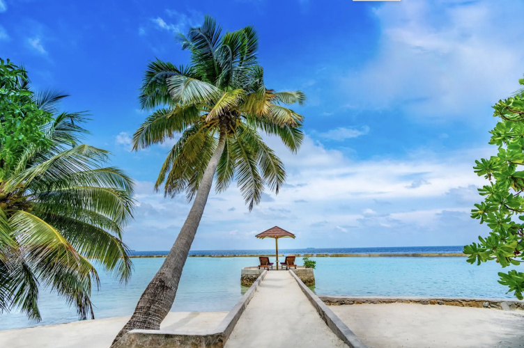 Ellaidhoo Maldives By Cinnamon (Ex-Chaaya Reef) photo 18