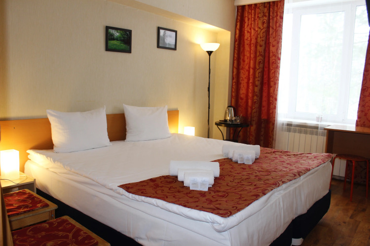 Двухместный номер Economy двуспальная кровать