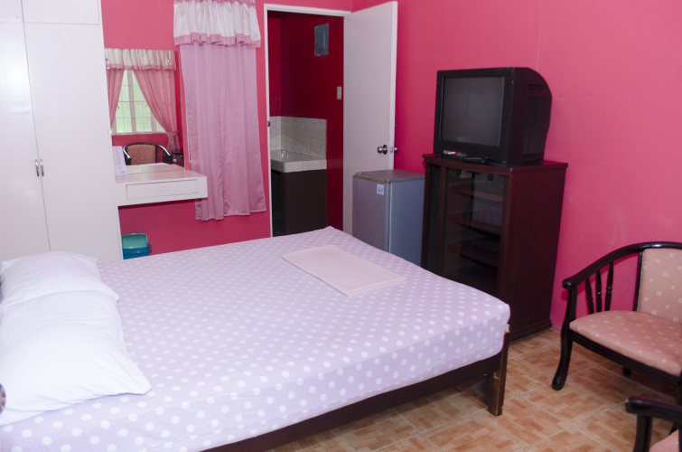 Deluxe Double room with garden view
