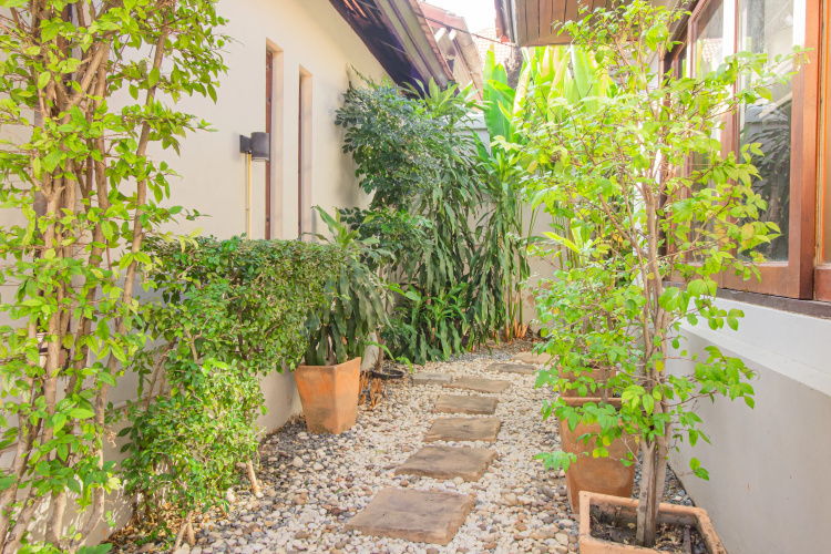Bali Style 3BDR Private Pool Villa